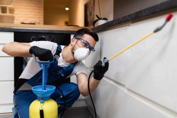 Pest Prevention Services in Milan, IL