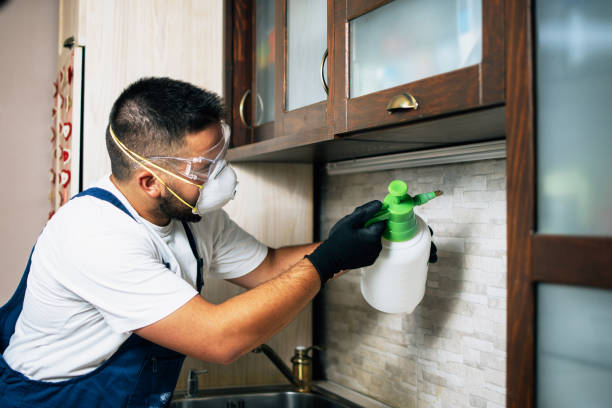 Best Local Pest Control Services  in Man, IL