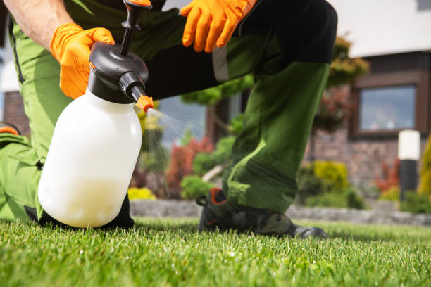 Best Residential Pest Control  in Man, IL
