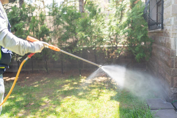 Best Pest Control for Homes  in Man, IL