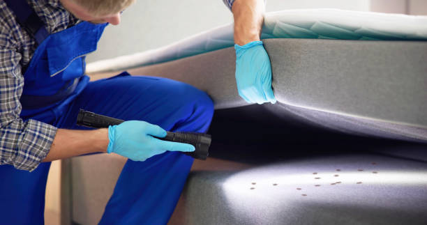 Best Rat Extermination Near Me  in Man, IL