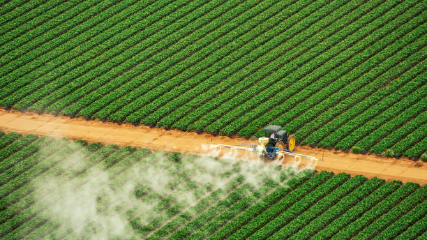 Best Termite Control Services  in Man, IL