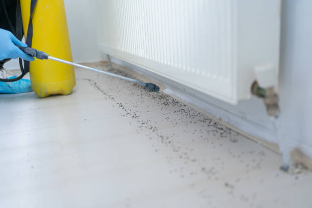 Best Pest Prevention Services  in Man, IL